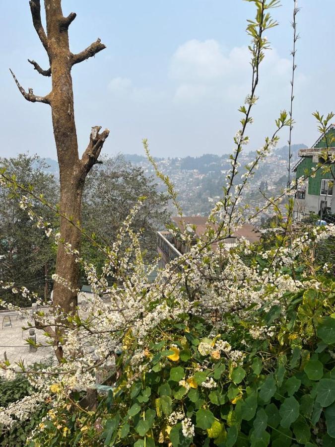 Darjeeling Bnb Extérieur photo